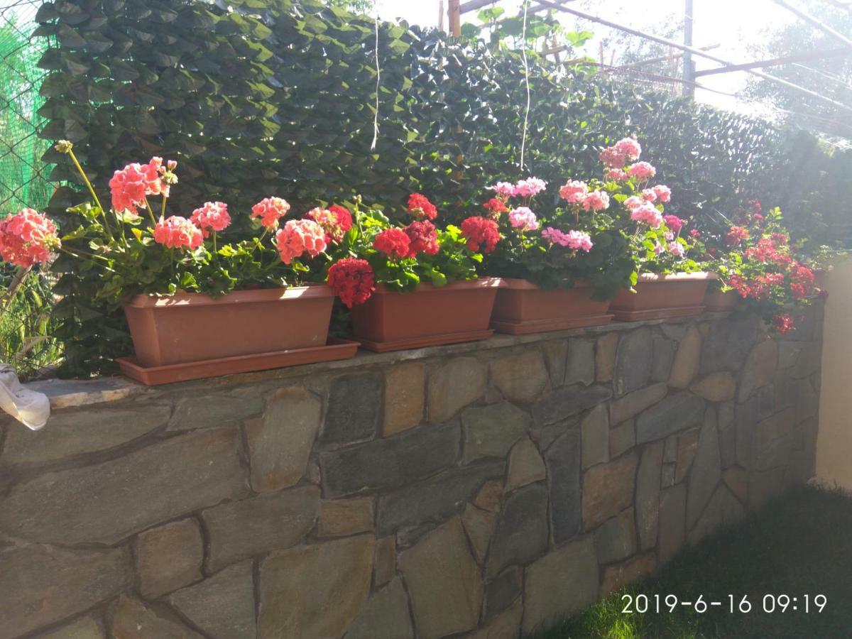אגיוס ניקולאוס Ioannis Stagkonis Apartment מראה חיצוני תמונה